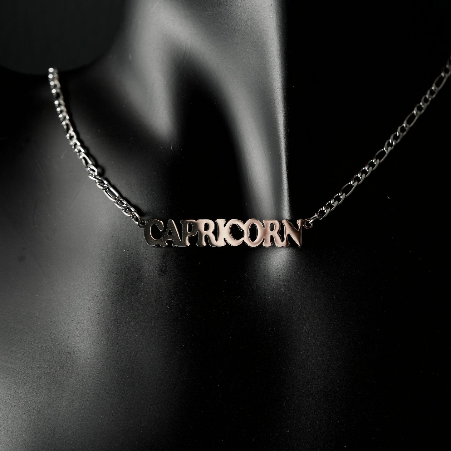 Capricorn Necklace Bold Zodiac Silver