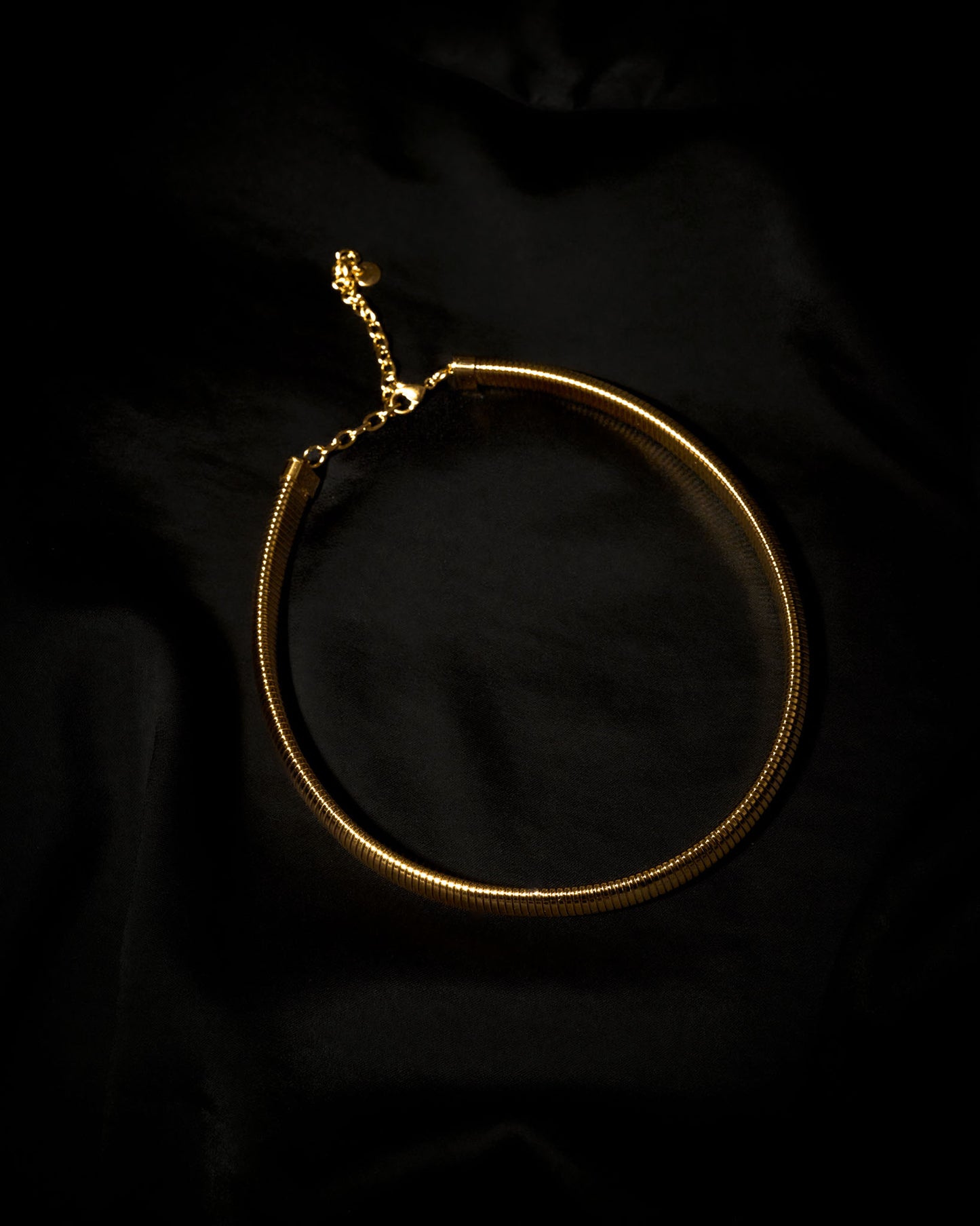 Choker Eclectic Coil Gold