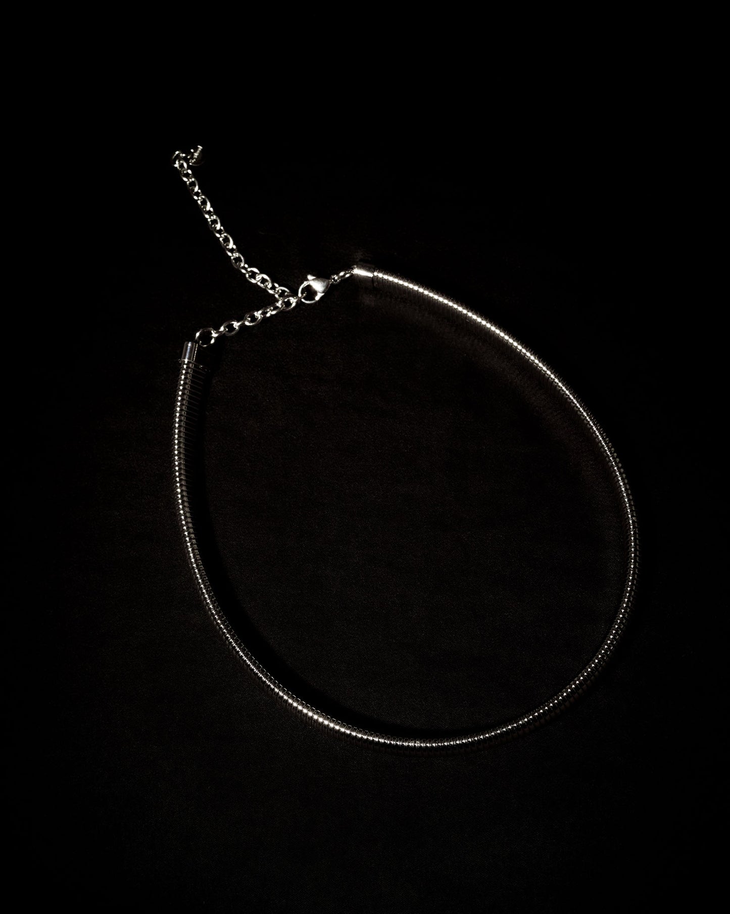 Choker Eclectic Coil Silver