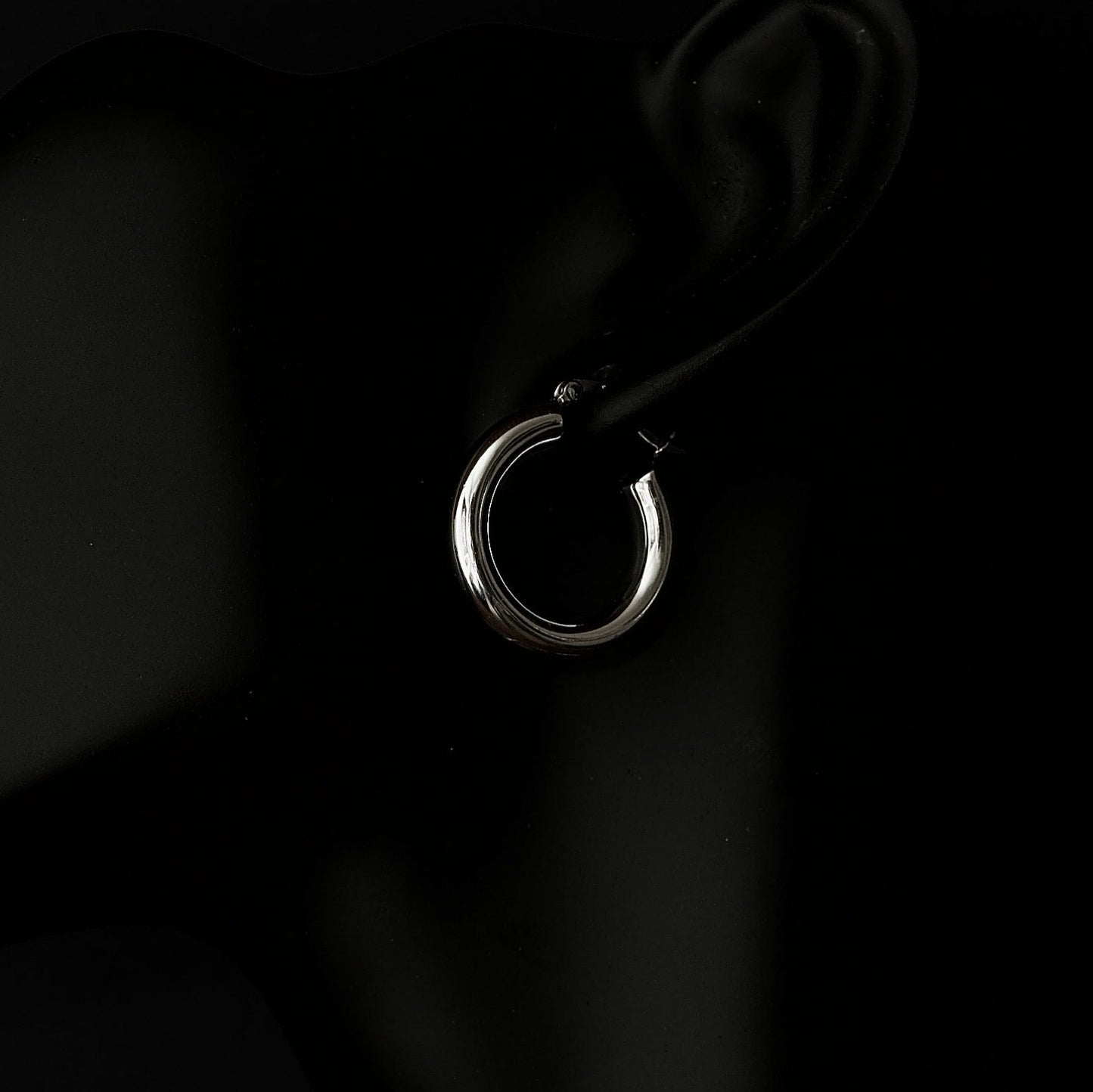 Hoop Earrings