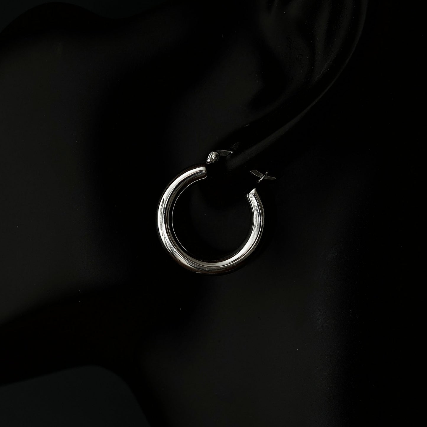 Hoop Earrings