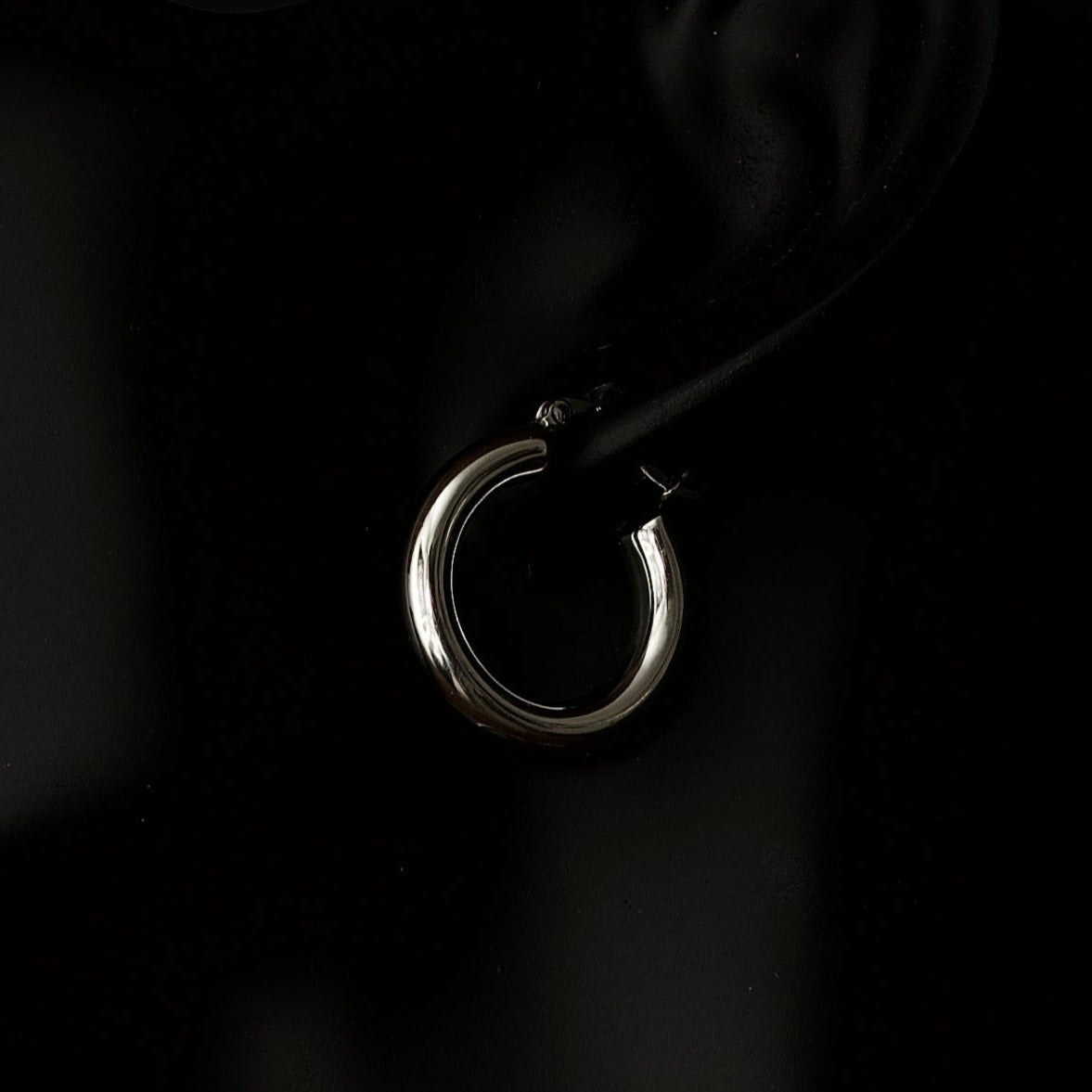 Hoop Earrings